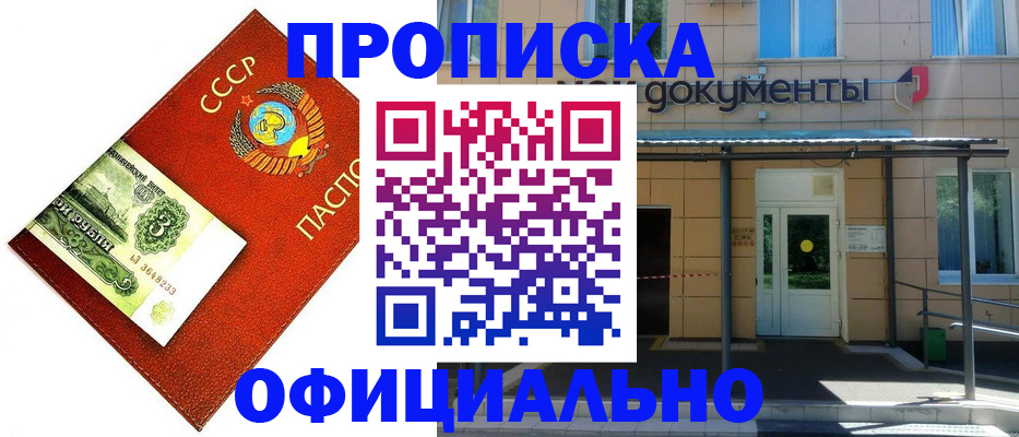 прописка для школы в Лосино-Петровском